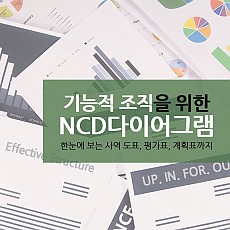 기능적 조직을 위한 NCD다이어그램
